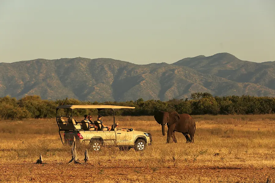Elephant spotted on a game drive in Zimbabwe.
